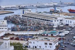 Image du Maroc Professionnelle de  Le port de pêche de Casablanca, Samedi 11 Avril 2009. (Photo / Abdeljalil Bounhar)